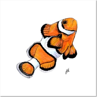 Clownfish Posters and Art